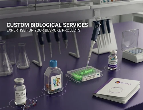 Custom Services