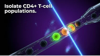 Essential CD4 T-Cell Markers